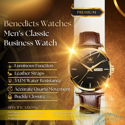 Classic Business Men's Watch