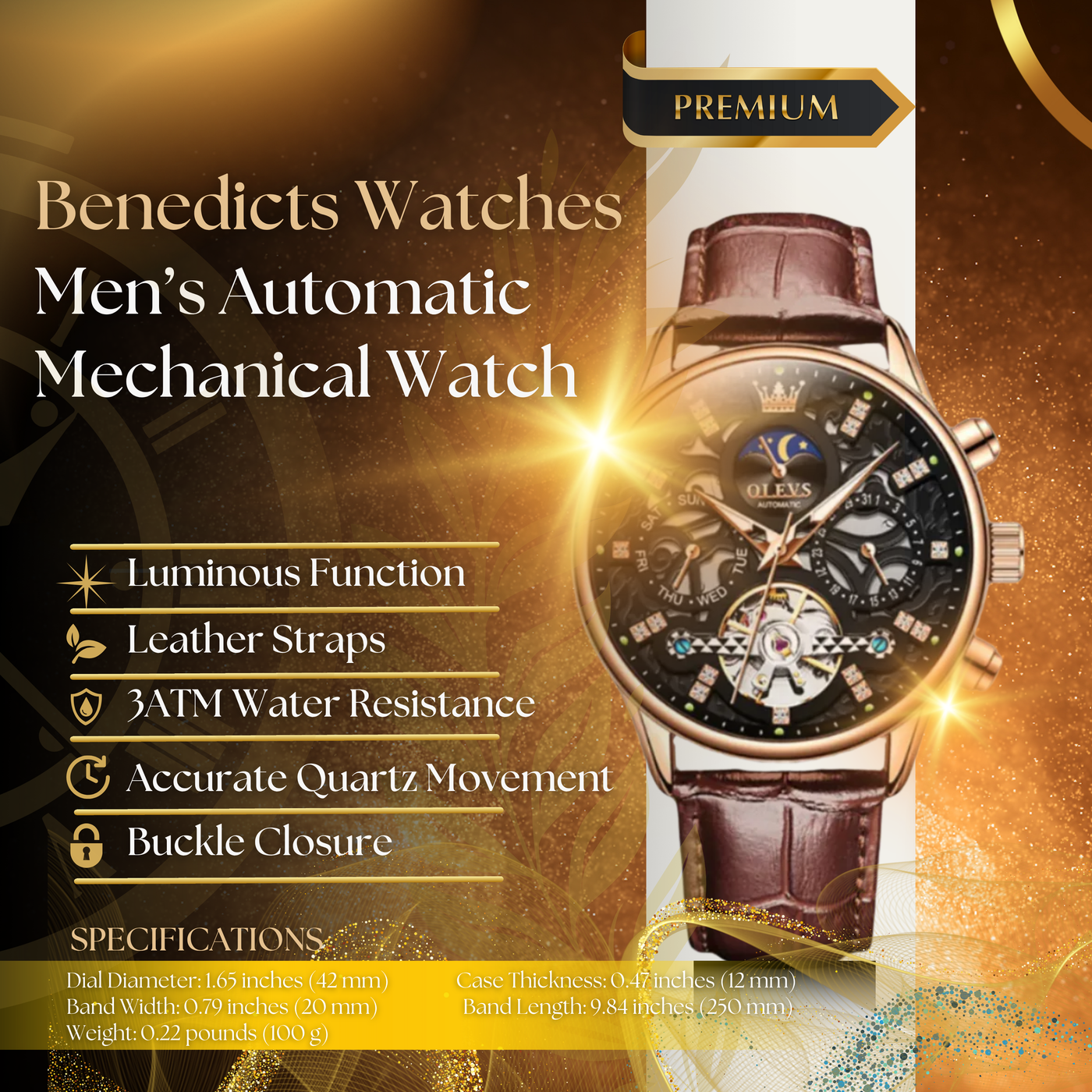 Classic Mechanical Automatic Men's Watch with Leather Band