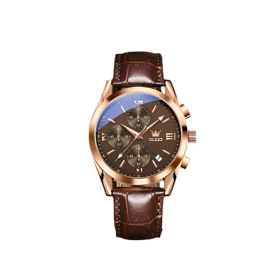 Modern Style Luminous Men's Quartz Watch