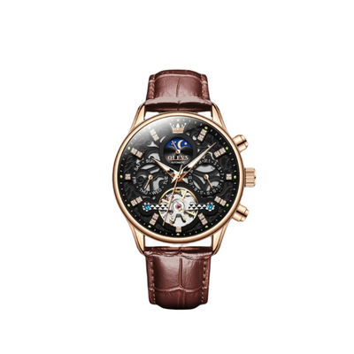 Classic Mechanical Automatic Men's Watch with Leather Band