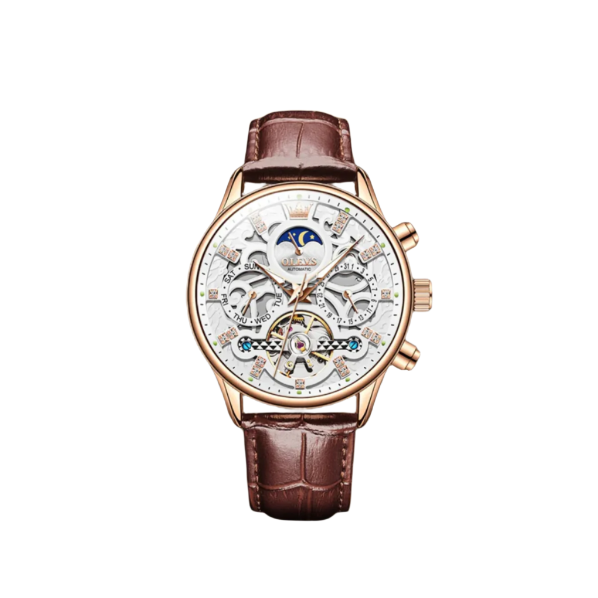Classic Mechanical Automatic Men's Watch with Leather Band