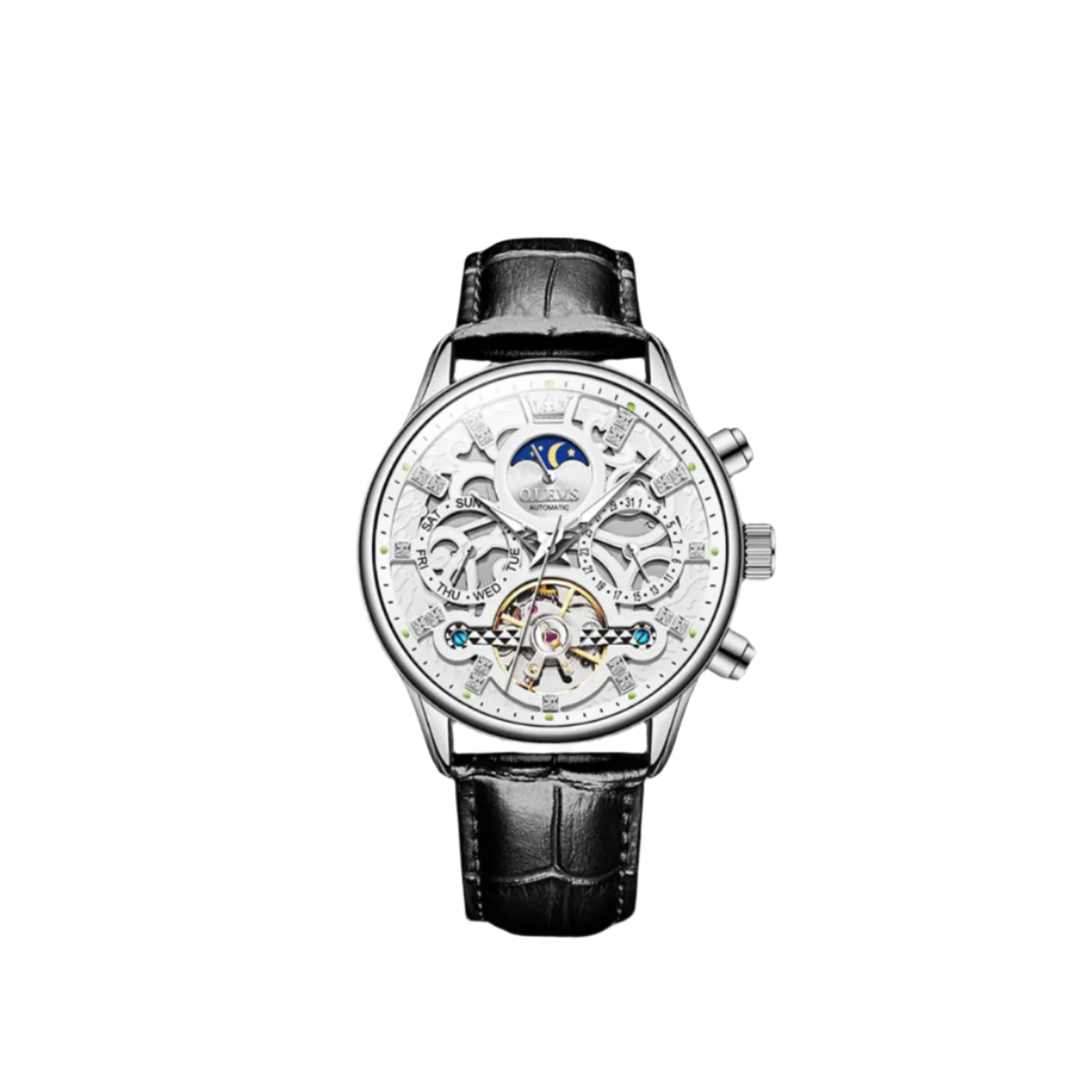 Classic Mechanical Automatic Men's Watch with Leather Band