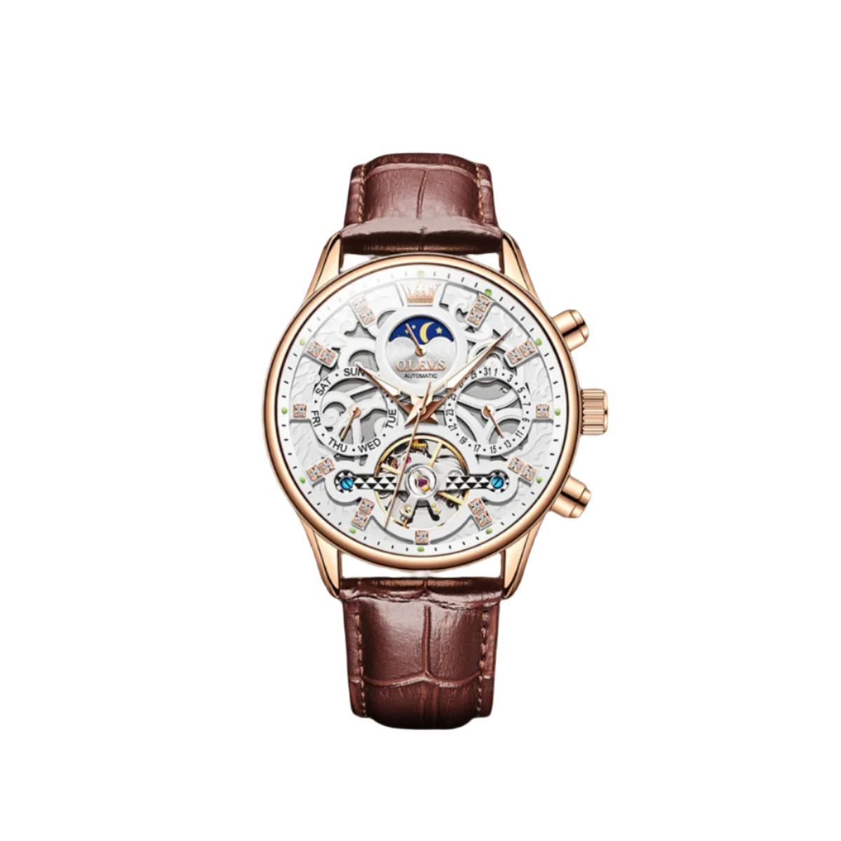 Classic Mechanical Automatic Men's Watch with Leather Band