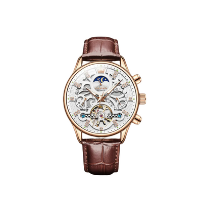 Classic Mechanical Automatic Men's Watch with Leather Band