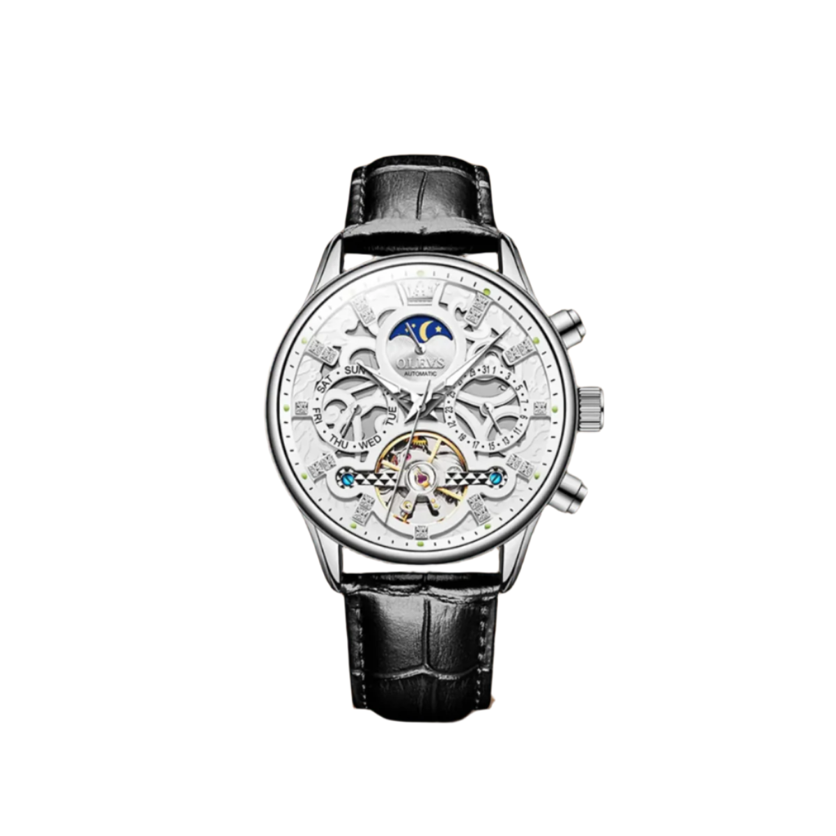 Classic Mechanical Automatic Men's Watch with Leather Band
